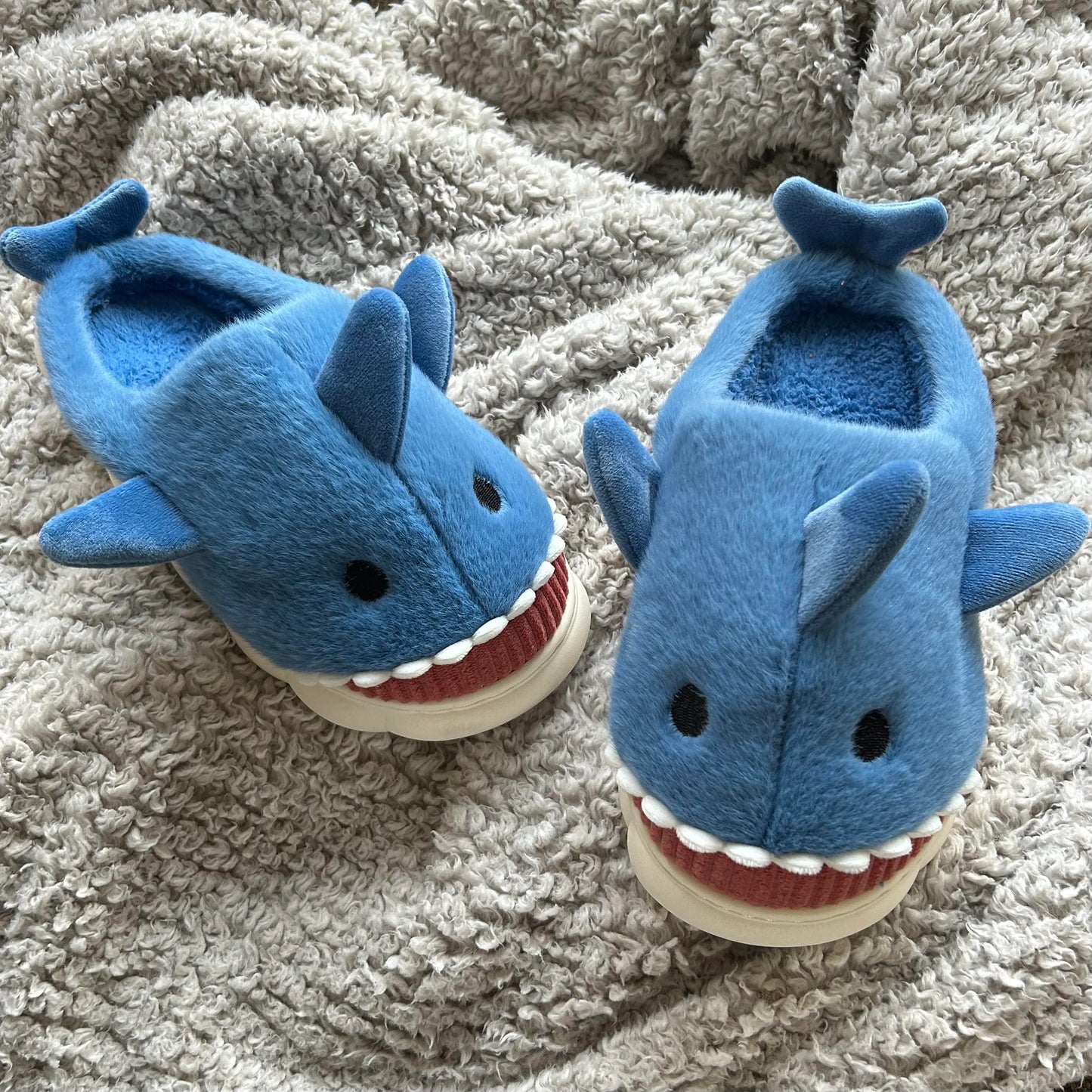 Sharky Slippers