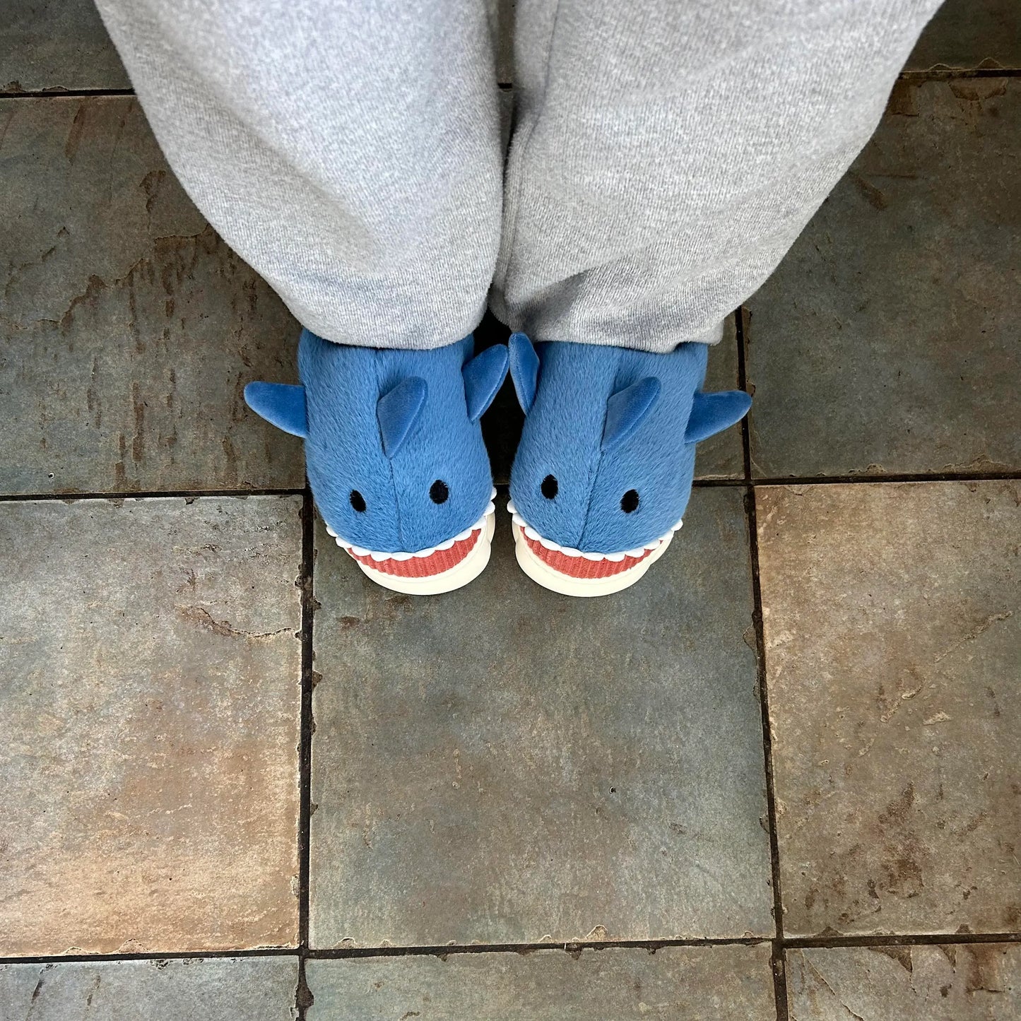 Sharky Slippers